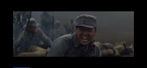 幸存者电视剧在线观看,生死较量,真实生存挑战再现 第3张 幸存者电视剧在线观看,生死较量,真实生存挑战再现 第3张