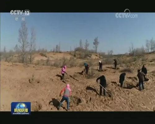 最新沙漠爆料新闻事件视频 第3张 最新沙漠爆料新闻事件视频 第3张